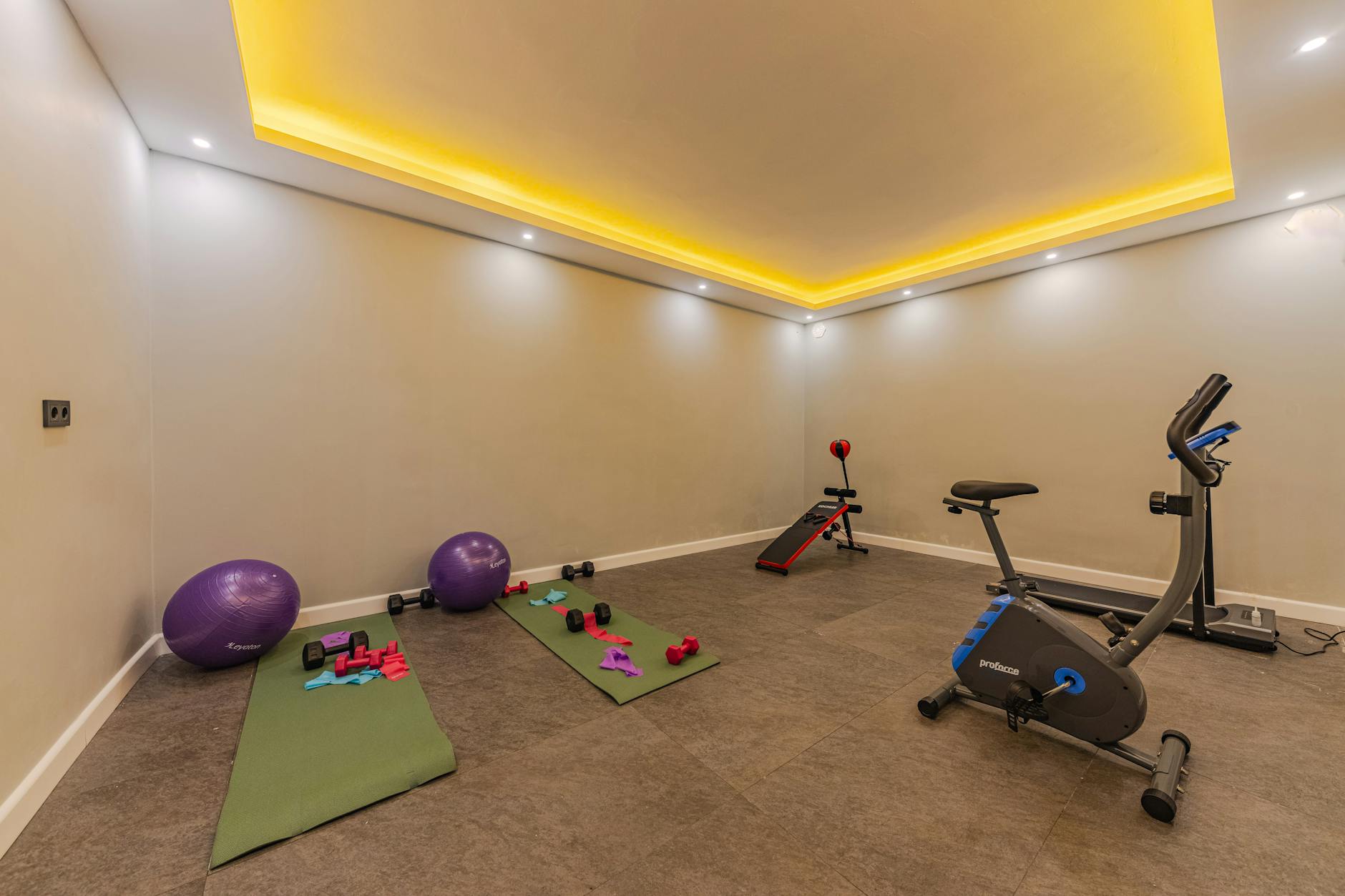 Elegant home wellness room interior showing the type of private spaces wealthy families create for health treatments