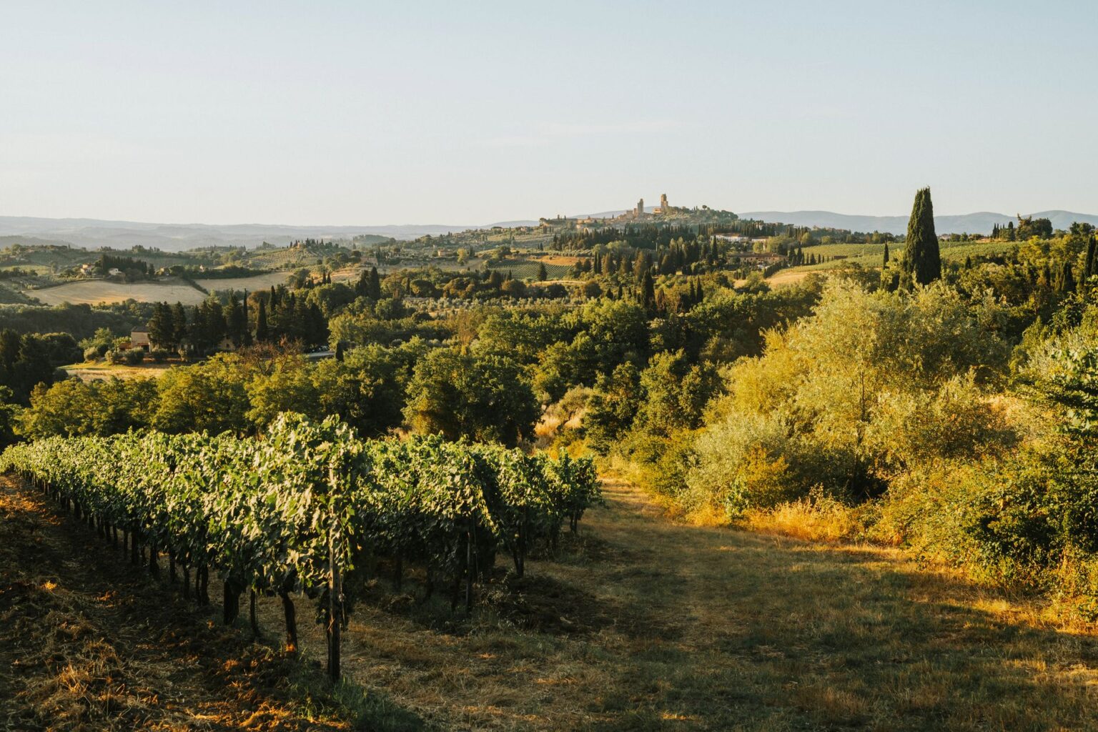 Quiet Italian countryside road stretching toward a flat horizon, evoking the documentary photography of Luigi Ghirri
